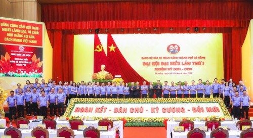 Thư viện hình năm 2025